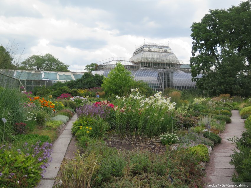 Kidz n Cats minis в Ботсаду Петра Великого