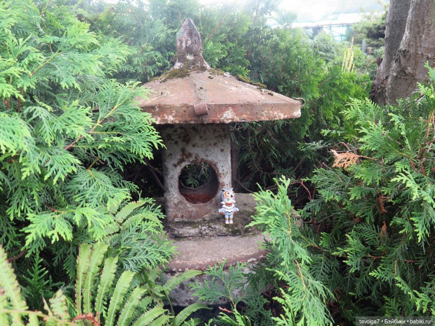 Kidz n Cats minis в Ботсаду Петра Великого