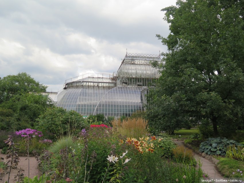 Kidz n Cats minis в Ботсаду Петра Великого