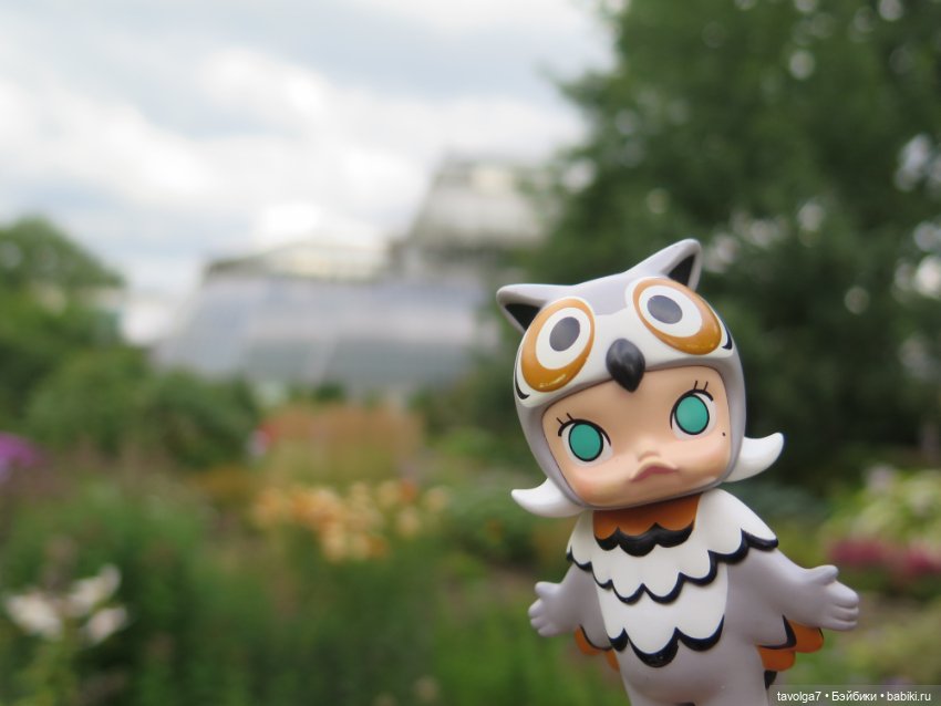 Kidz n Cats minis в Ботсаду Петра Великого