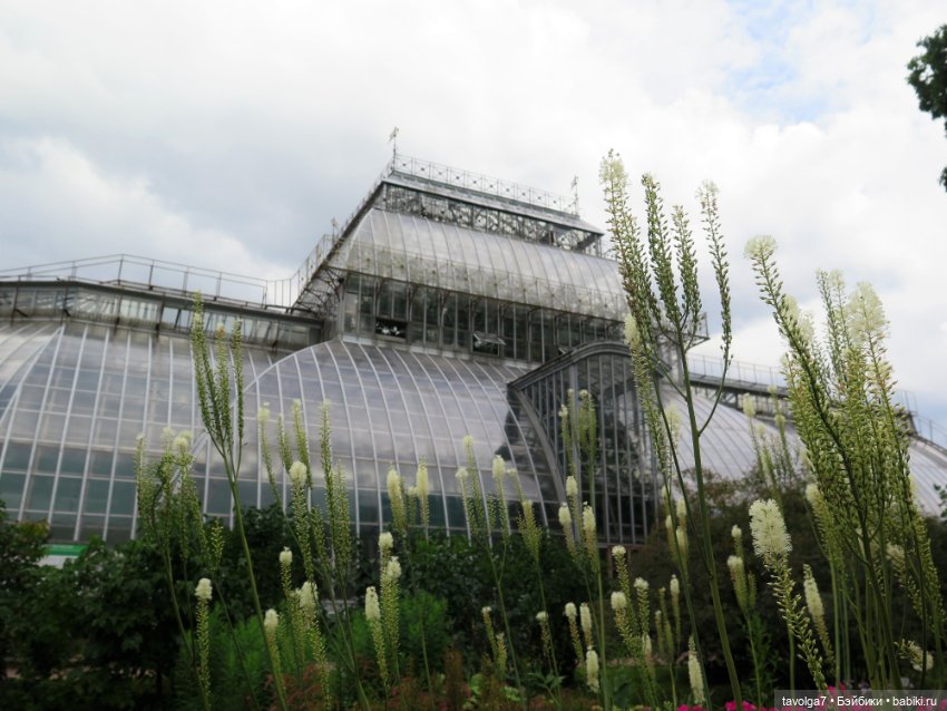 Kidz n Cats minis в Ботсаду Петра Великого (фото 9)