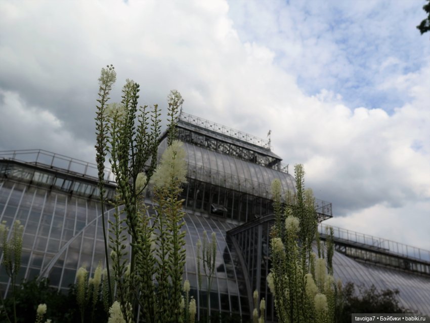 Kidz n Cats minis в Ботсаду Петра Великого (фото 10)