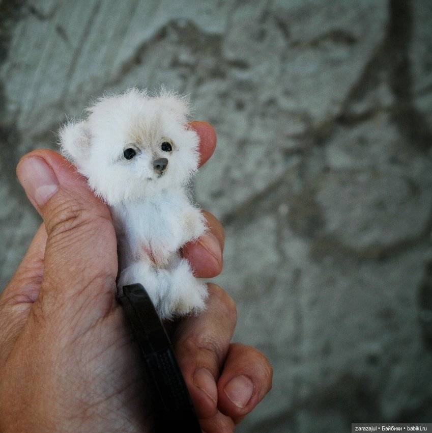 Пушок или Снежок? Новая выкройка и новый малыш Давайте придумаем имя (фото 2)