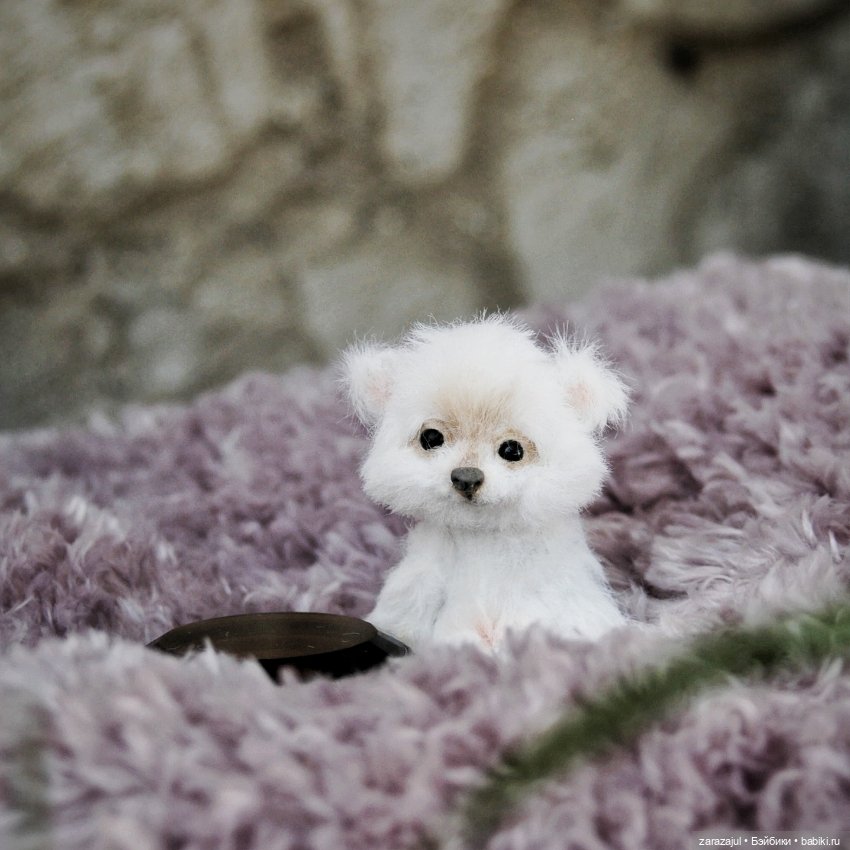 Пушок или Снежок? Новая выкройка и новый малыш Давайте придумаем имя