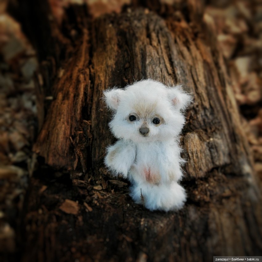 Пушок или Снежок? Новая выкройка и новый малыш Давайте придумаем имя (фото 3)