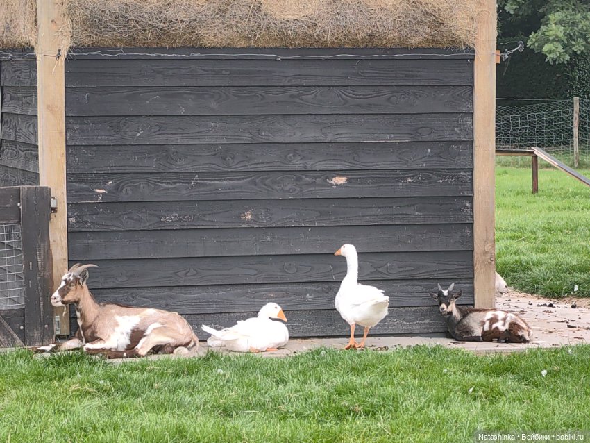 Музыкальная История 28 — Туризм и путешествия: фотоотчеты из поездок (фото 9)