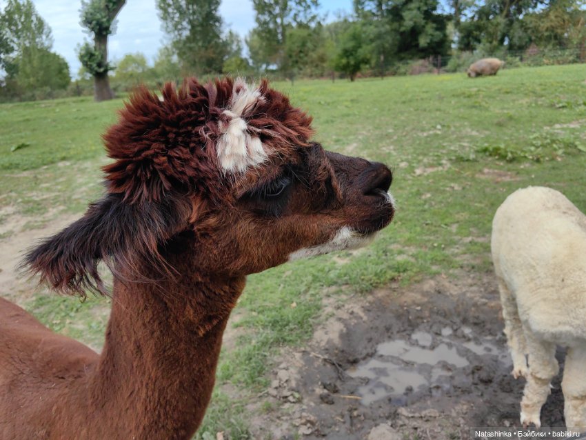 Музыкальная История 28 — Туризм и путешествия: фотоотчеты из поездок (фото 6)