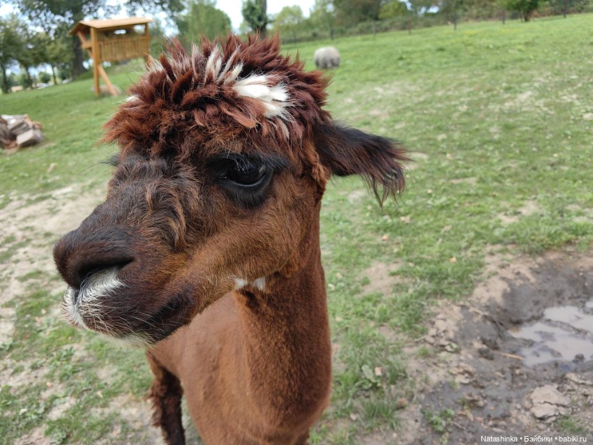 Музыкальная История 28 — Туризм и путешествия: фотоотчеты из поездок (фото 5)