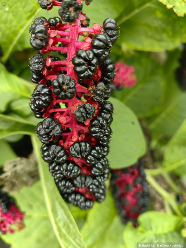 Музыкальная История 28 — Туризм и путешествия: фотоотчеты из поездок