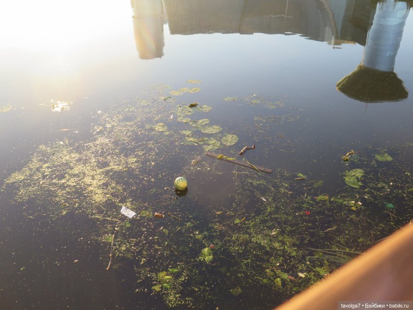 Утро у реки Дюймовочка Аским