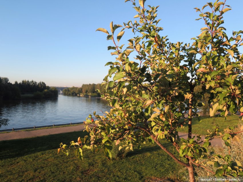 Утро у реки Дюймовочка Аским
