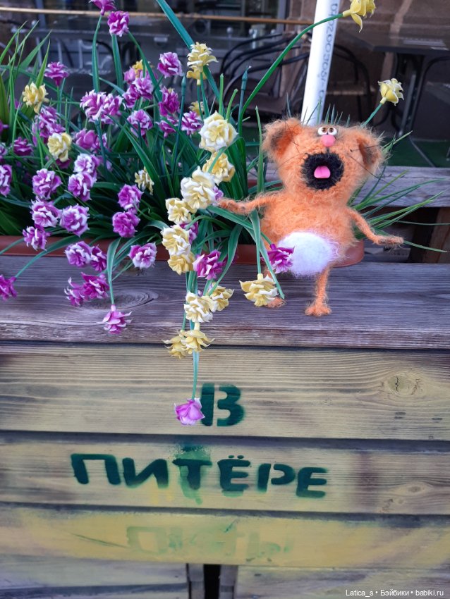 Ерофей гуляет по С-Петербургу