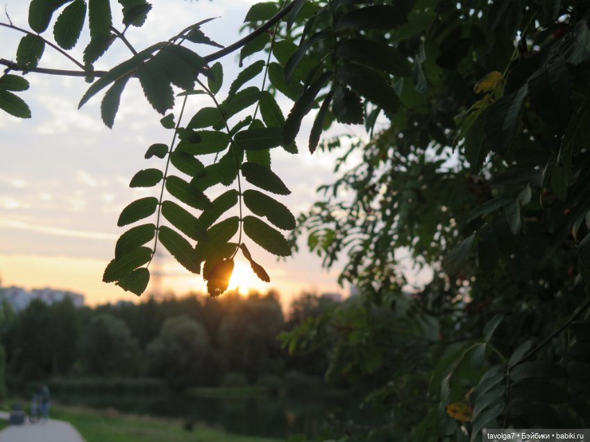 Арина "Огонёк". С корабля на бал (фото 7)