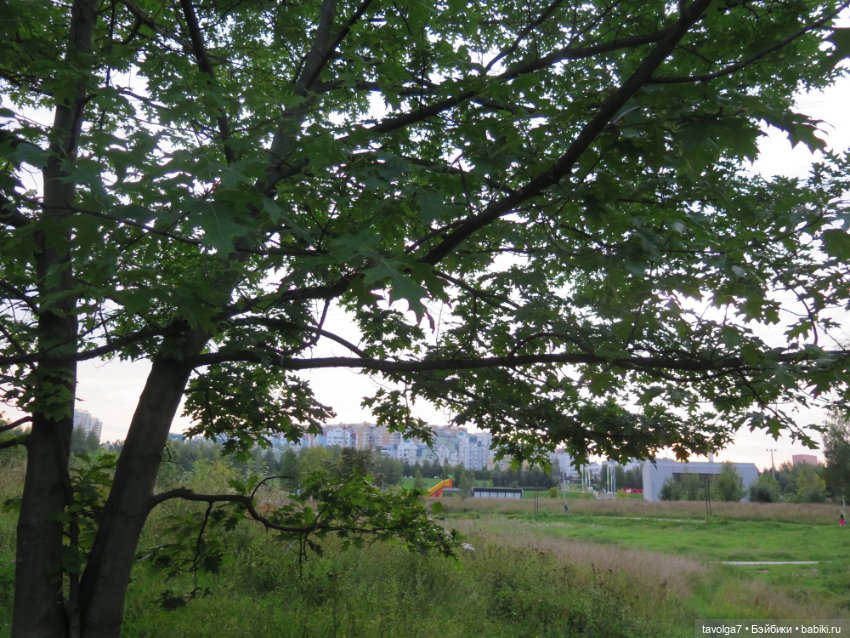 Арина "Огонёк". С корабля на бал