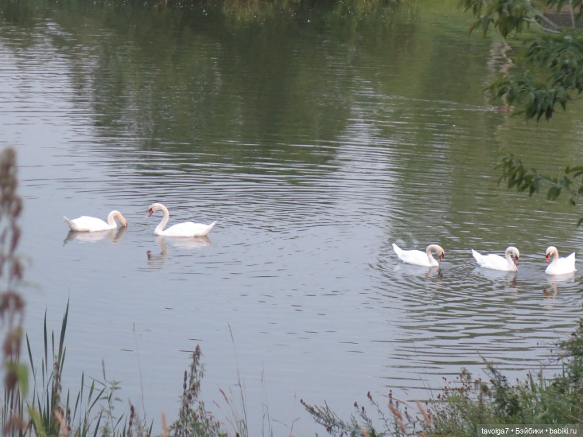 Арина "Огонёк". С корабля на бал