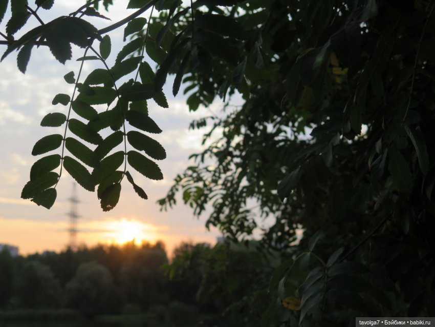 Арина "Огонёк". С корабля на бал (фото 8)