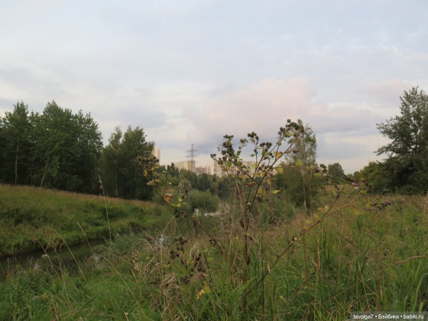 Арина "Огонёк". С корабля на бал