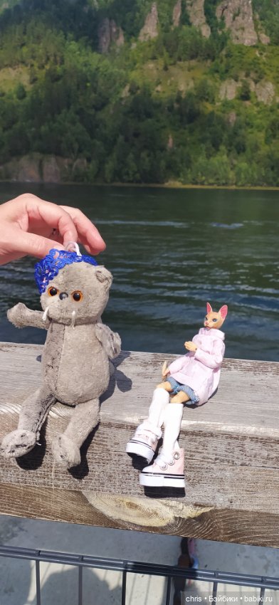 Путешествие кошечки Тайяки