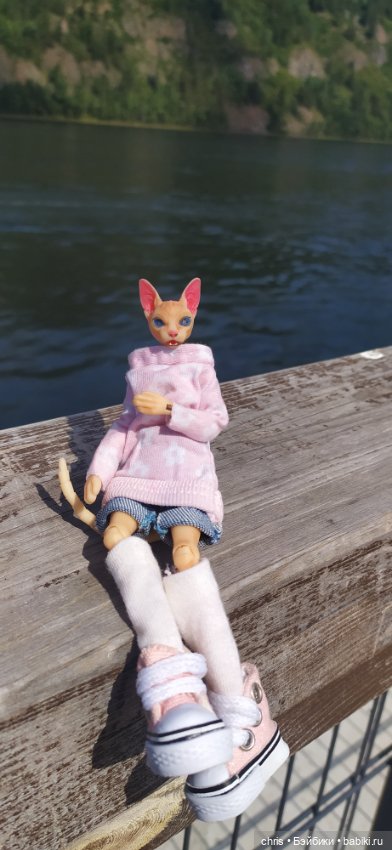 Путешествие кошечки Тайяки