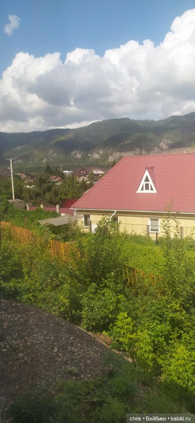 Путешествие кошечки Тайяки (фото 2)