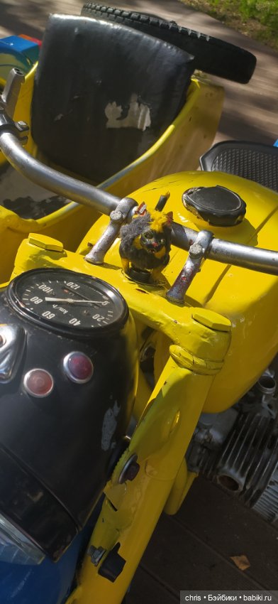 Путешествие кошечки Тайяки (фото 5)