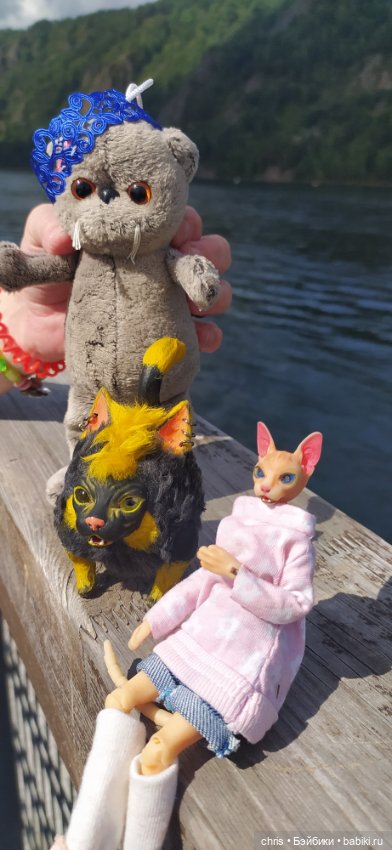 Путешествие кошечки Тайяки