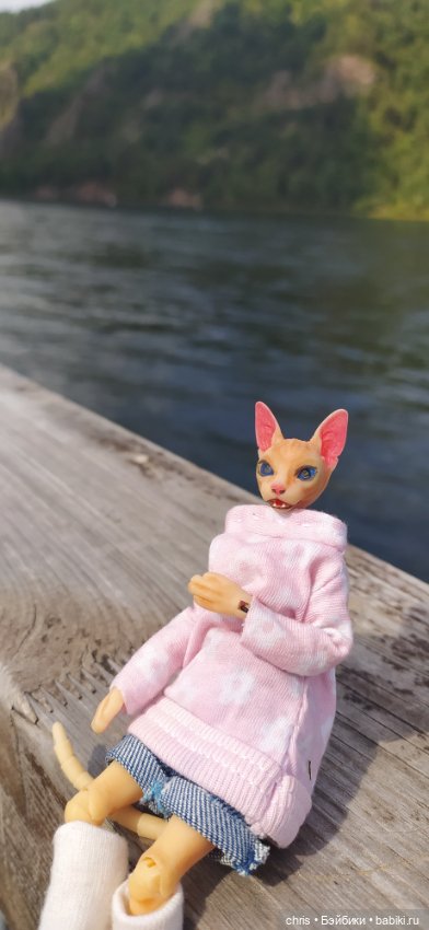 Путешествие кошечки Тайяки