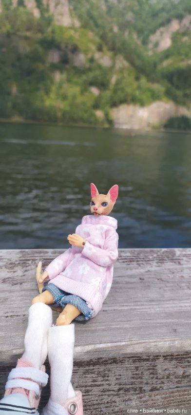 Путешествие кошечки Тайяки