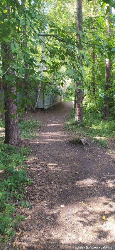 Путешествие кошечки Тайяки (фото 6)