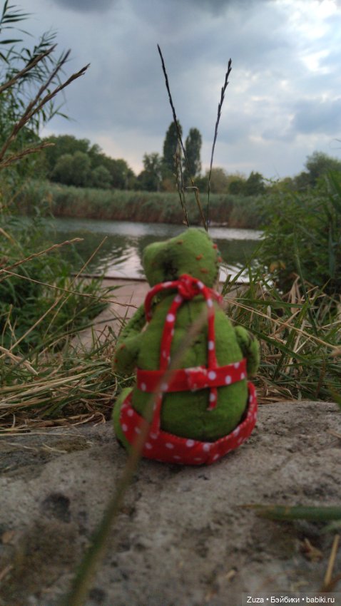 Клава - милая лягушенция — Текстильные игрушки и примитивы: кофейные
