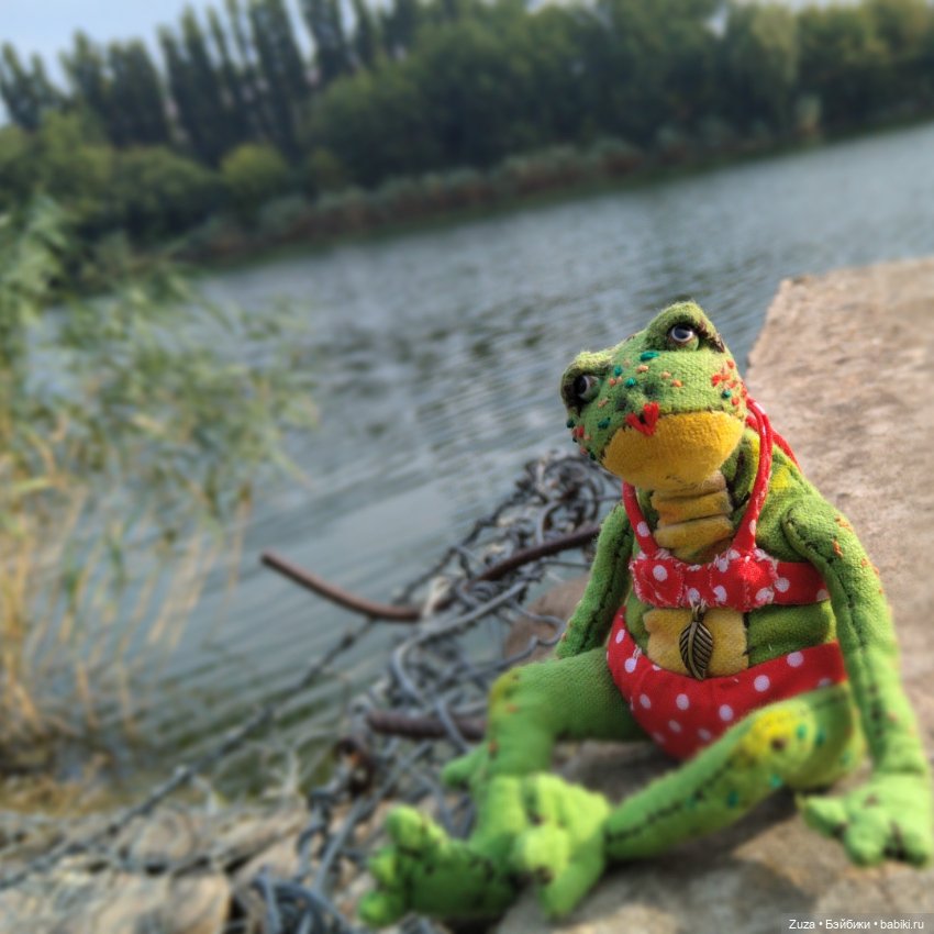 Клава - милая лягушенция — Текстильные игрушки и примитивы: кофейные (фото 10)