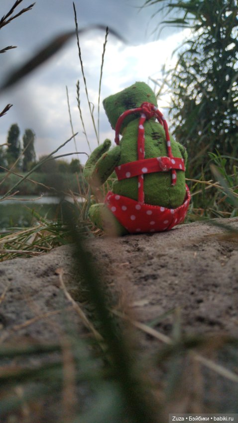 Клава - милая лягушенция — Текстильные игрушки и примитивы: кофейные (фото 2)