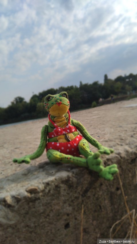 Клава - милая лягушенция — Текстильные игрушки и примитивы: кофейные (фото 7)