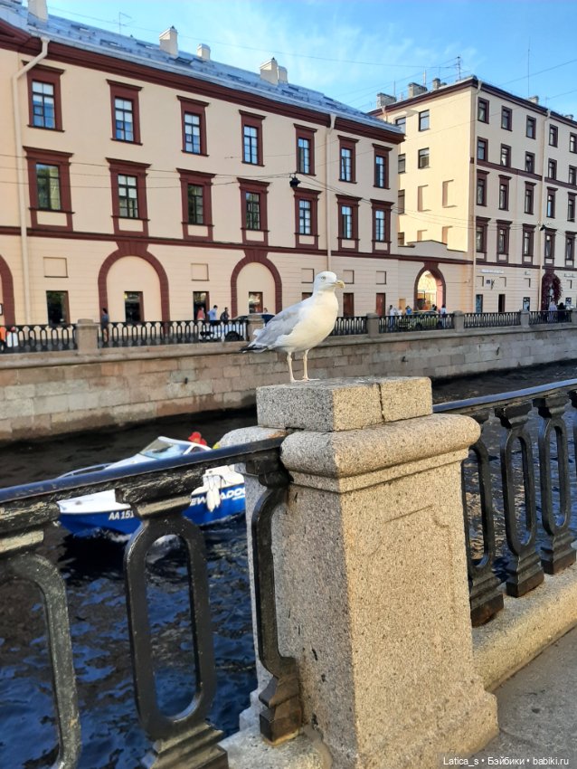 Вязаная игрушка Себастьян (фото 9)