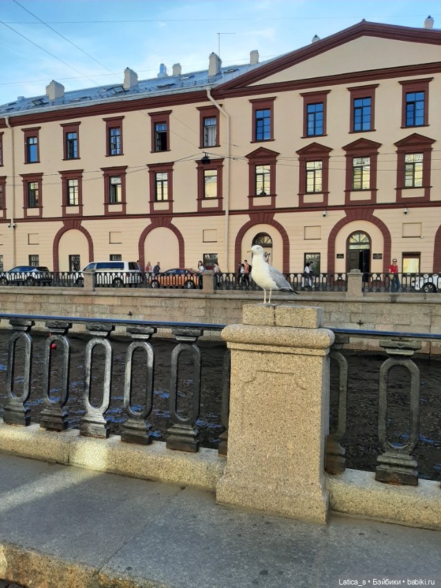 Вязаная игрушка Себастьян (фото 10)