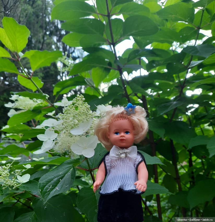 Звёздочка или жемчужинка?🤗🌟💎 (фото 4)