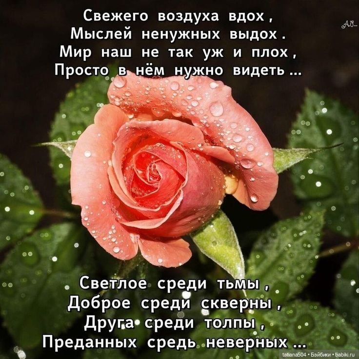 Розы, солнце, Ника — Разные шарнирные куклы (не БЖД): редкие (фото 9)