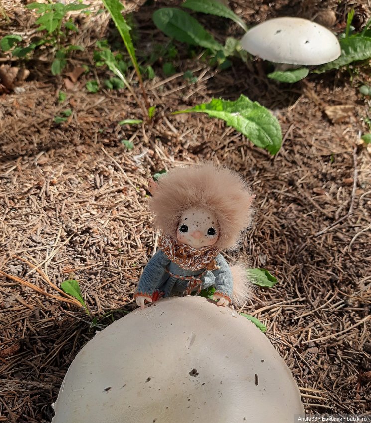 Гуляем с Лушей. Аука на природе (фото 5)