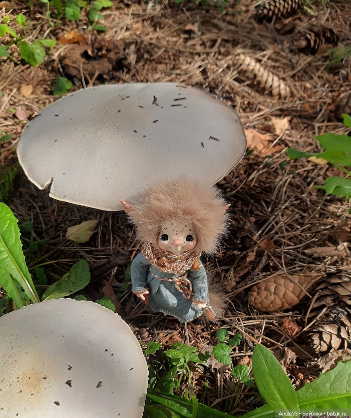 Гуляем с Лушей. Аука на природе (фото 7)