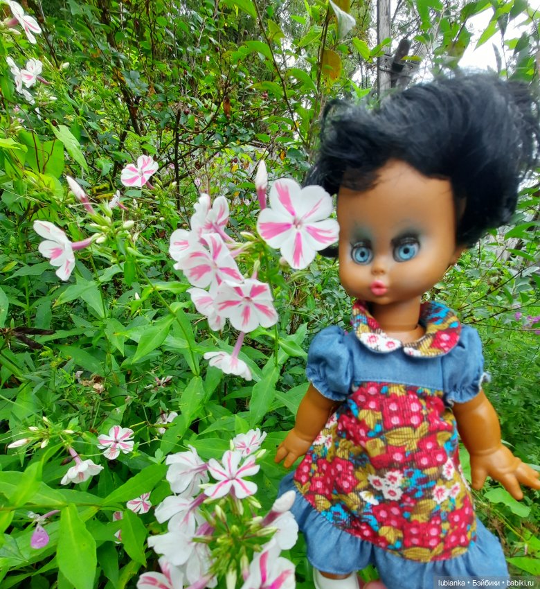 Пока ещё разноцветье🌺🌼🌸🏵🥀