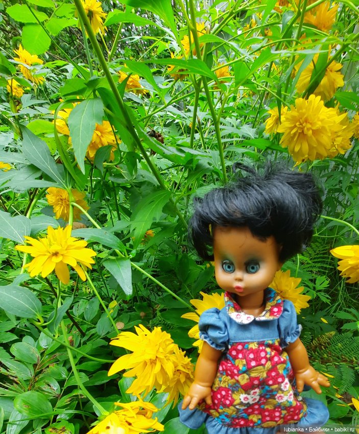 Пока ещё разноцветье🌺🌼🌸🏵🥀