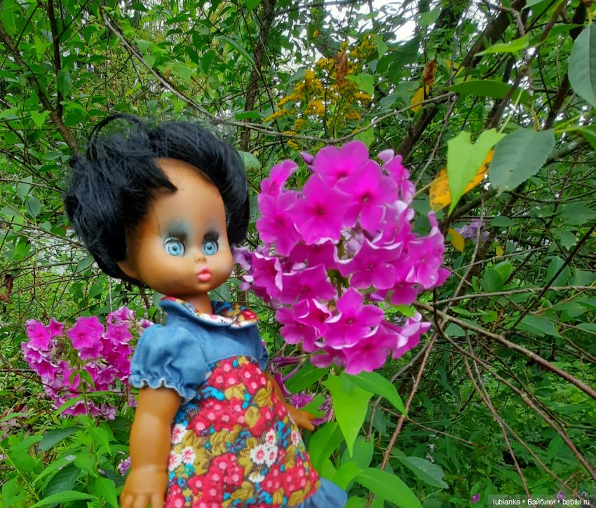 Пока ещё разноцветье🌺🌼🌸🏵🥀