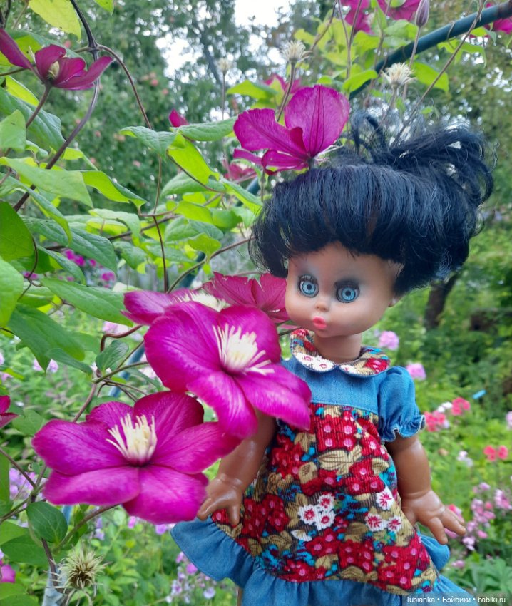 Пока ещё разноцветье🌺🌼🌸🏵🥀 (фото 7)