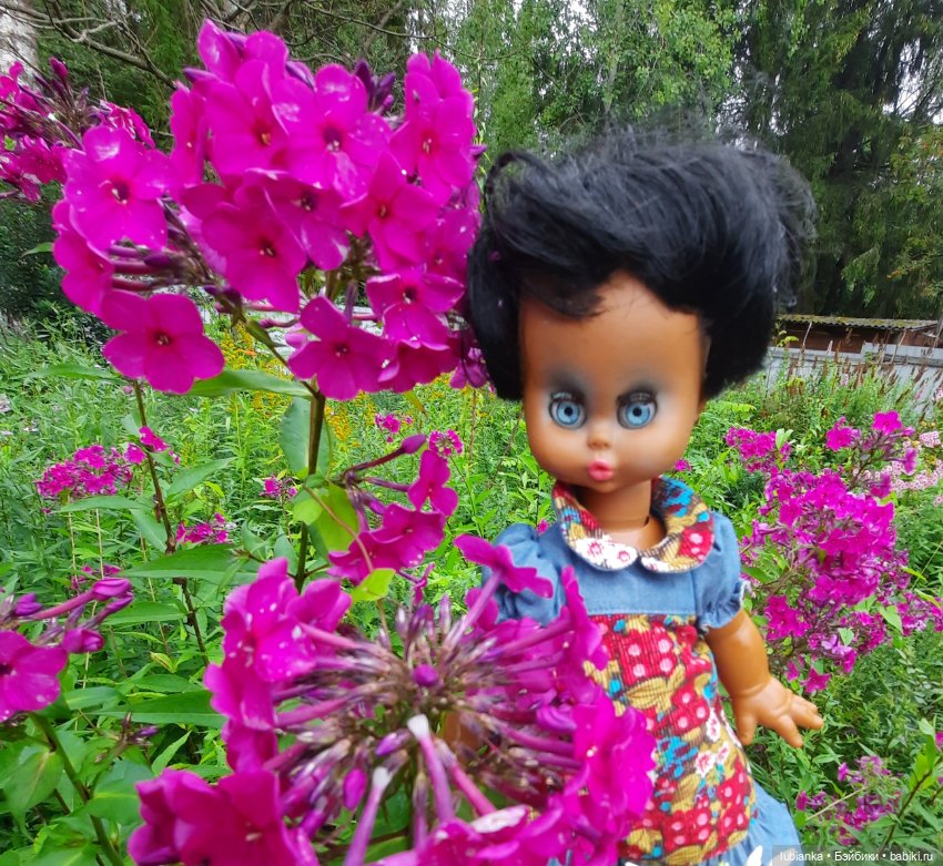 Пока ещё разноцветье🌺🌼🌸🏵🥀