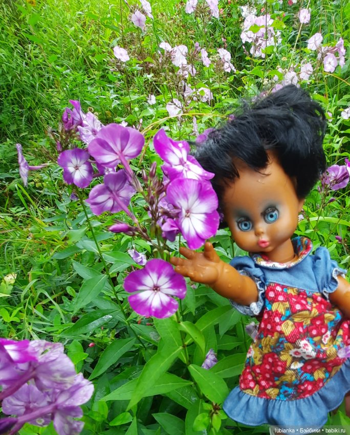 Пока ещё разноцветье🌺🌼🌸🏵🥀