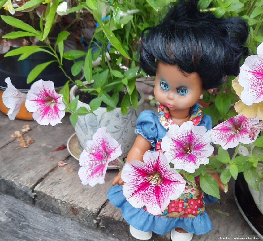 Пока ещё разноцветье🌺🌼🌸🏵🥀