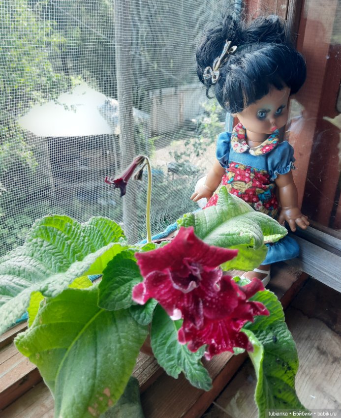 Пока ещё разноцветье🌺🌼🌸🏵🥀