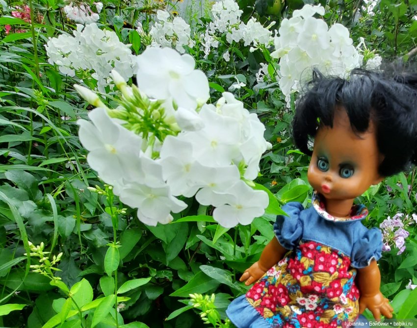 Пока ещё разноцветье🌺🌼🌸🏵🥀