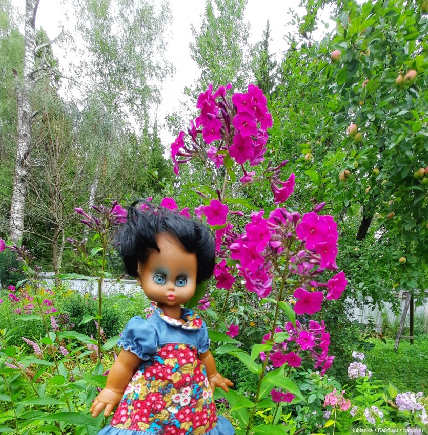 Пока ещё разноцветье🌺🌼🌸🏵🥀