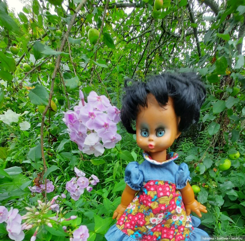 Пока ещё разноцветье🌺🌼🌸🏵🥀